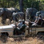 Zambezi Sunset Cruise + Game Drive Safari with hotel Pick Up - Practical Details: What You Need to Know