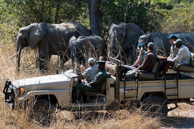 Zambezi Sunset Cruise + Game Drive Safari with hotel Pick Up - Practical Details: What You Need to Know