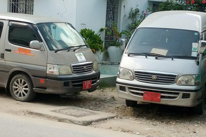 Zanzibar Airport Transfers (Pickup/Shuttles in Zanzibar) - Who Will Love This Service?