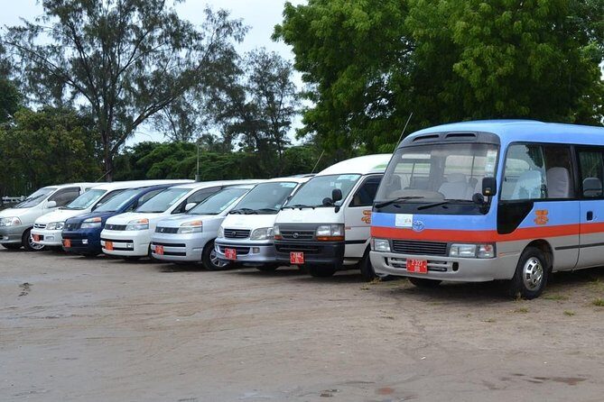 Zanzibar Arrival Transfer: Zanzibar Airport to Hotel - Key Points