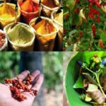 Zanzibar Cooking Class & Spice Tour - Price and Value Analysis