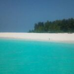 Zanzibar Deep Sea Fishing & Local fishing. - The Fishing Experience: What’s on Offer