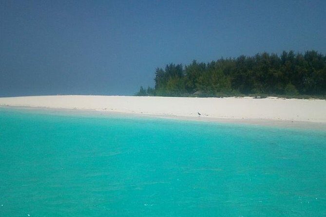 Zanzibar Deep Sea Fishing & Local fishing. - The Fishing Experience: What’s on Offer