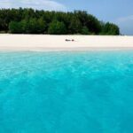 Zanzibar Full Day Dolphin Tour; Mnemba Island; Nungwi Beach & Kendwa Beach Tour - Practical Details and What It Means for You