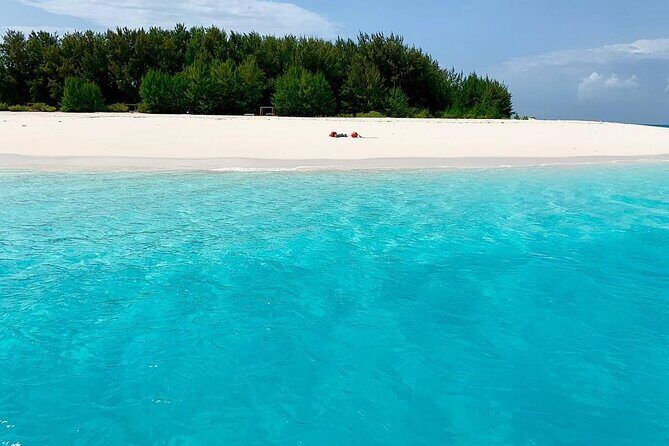 Zanzibar Full Day Dolphin Tour; Mnemba Island; Nungwi Beach & Kendwa Beach Tour - Practical Details and What It Means for You