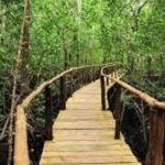 Zanzibar: Jozani Forest, Red colobus, the Rock Restaurant tour - The Rock Restaurant: An Unforgettable Dining Spot