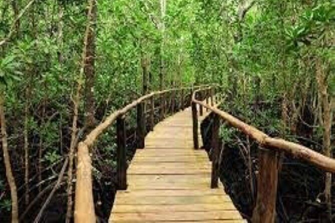 Zanzibar: Jozani Forest, Red colobus, the Rock Restaurant tour - The Rock Restaurant: An Unforgettable Dining Spot