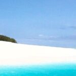 Zanzibar Mnemba Island Tour; Prison Island; Jozani Forest; The Rock Restaurant - Who Should Consider This Tour?