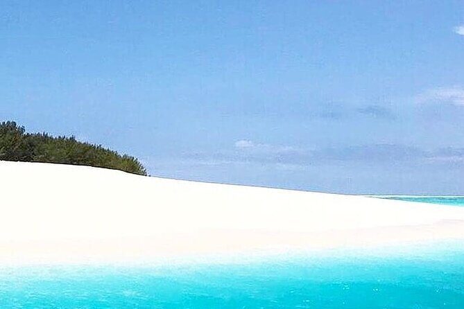 Zanzibar Mnemba Island Tour; Prison Island; Jozani Forest; The Rock Restaurant - Who Should Consider This Tour?