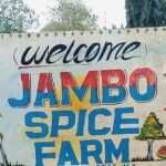 Zanzibar Spice Tour - The Sum Up