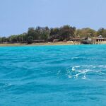 Zanzibar tours - Discovering Zanzibar’s Natural Wonders at Jozani Forest