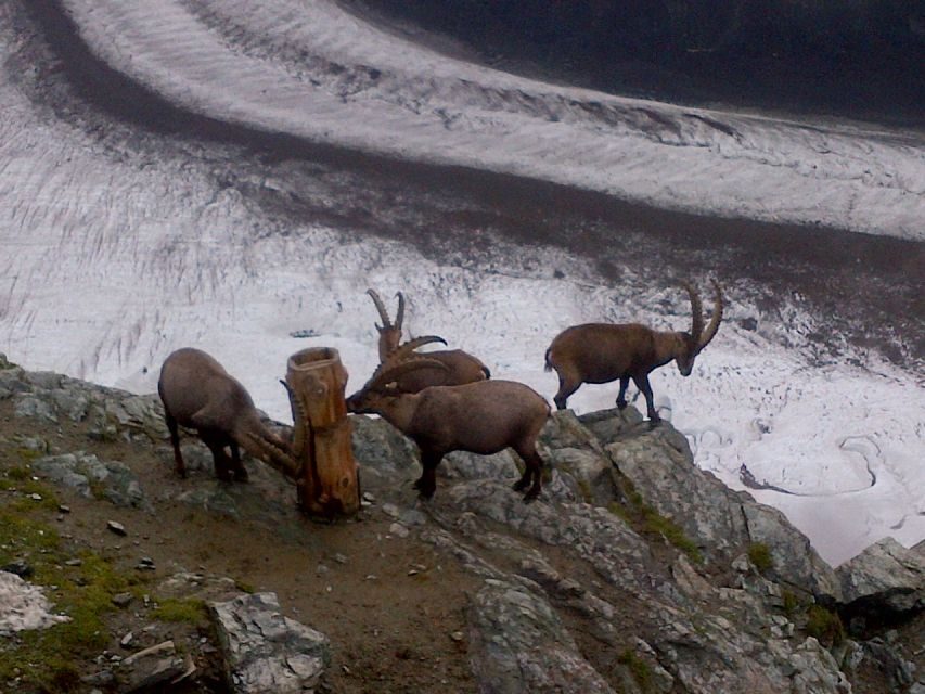Zermatt & Mt. Gornergrat Small Group Day Trip from Bern - Exploring Zermatt: The Car-Free Village