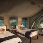 Zimbabwe Luxury Safari 6 Nights Fly in - The Value of This Tour