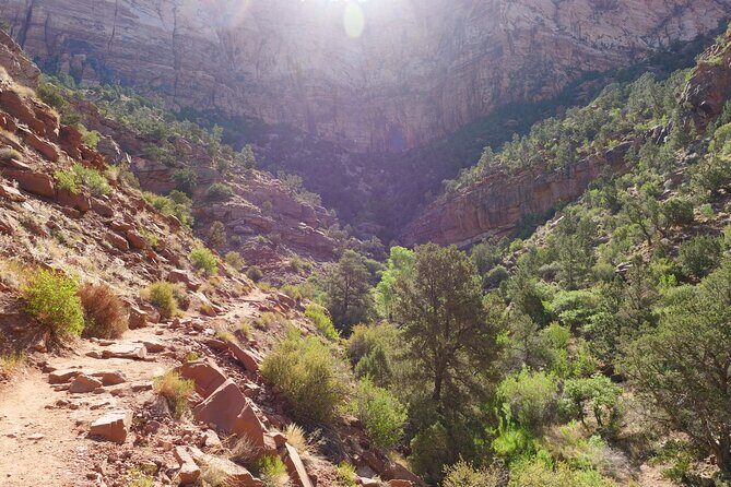 Zion National Park Small Group Tour from Las Vegas - Zion Canyon Scenic Drive
