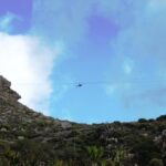 Zipline Cape Town - From Foot of Table Mountain Reserve - An In-Depth Look at the Zipline Experience
