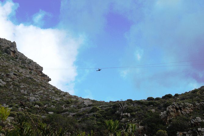 Zipline Cape Town - From Foot of Table Mountain Reserve - An In-Depth Look at the Zipline Experience