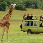 Zululand 5 Day Private Safari from Durban - Practical Insights