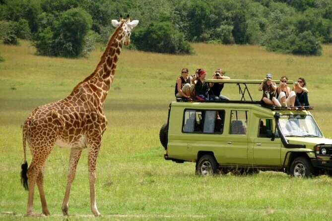 Zululand 5 Day Private Safari from Durban - Practical Insights