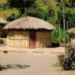 1/2 Day Durban City Tour & Phezulu Tour - Who Is This Tour Best For?