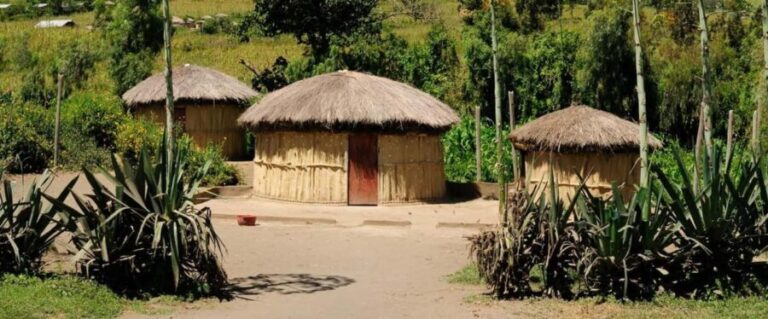 1/2 Day Durban City Tour & Phezulu Tour - Who Is This Tour Best For?