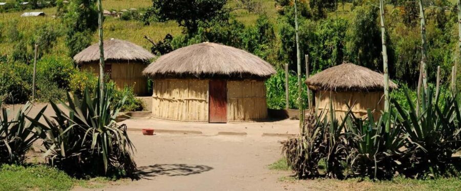1/2 Day Durban City Tour & Phezulu Tour - Who Is This Tour Best For?