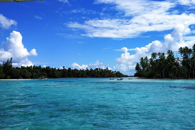 1/2 day Tahaa coral garden - departure Raiatea / ideal for cruise passengers - What to Expect During the Excursion