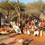 1/2 Day Tala Game Reserve & Phezulu Safari Park from Durban - Exploring Tala Game Reserve: A wildlife lover’s quick fix