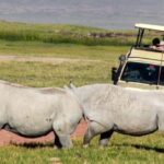 #1. Best 4-Day Safari Tanzania Safari-ISMANI TOURS $ SAFARIS - Practical Details and What to Expect