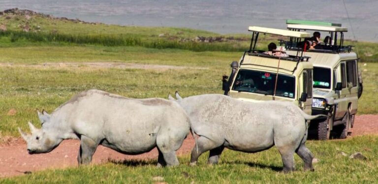 #1. Best 4-Day Safari Tanzania Safari-ISMANI TOURS $ SAFARIS - Practical Details and What to Expect
