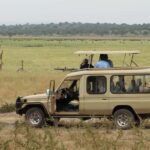 1 Day Akagera National Park Safari Package - Pricing and Value Analysis