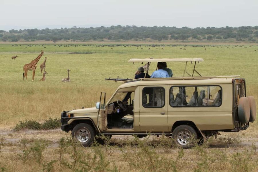 1 Day Akagera National Park Safari Package - Pricing and Value Analysis