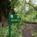 1 Day Bisoke Volcano Hike Tour - Practical Details and What’s Included