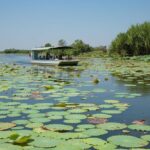 1 Day Corroboree Billabong Wetland Experience including 2.5 hour cruise + lunch - Who Will Love This Tour?