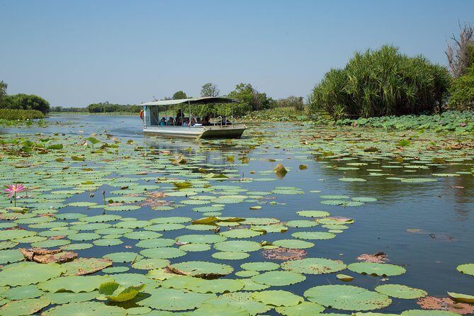 1 Day Corroboree Billabong Wetland Experience including 2.5 hour cruise + lunch - Who Will Love This Tour?