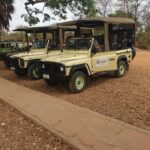 1 Day Fly in Safari Zanzibar Nyerere National Park - The Itinerary Breakdown: How the Day Unfolds
