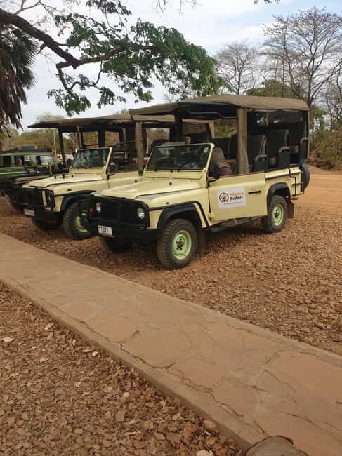 1 Day Fly in Safari Zanzibar Nyerere National Park - The Itinerary Breakdown: How the Day Unfolds