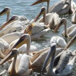 1 Day Guided Tour in Bahir Dar - Final Thoughts
