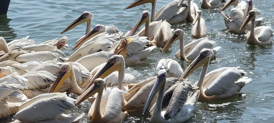 1 Day Guided Tour in Bahir Dar - Final Thoughts