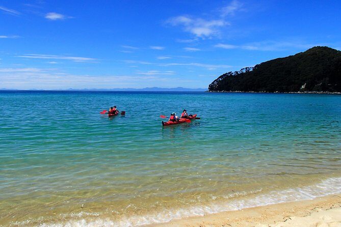 1 Day Sea Kayak Rental - Why Choose This Kayak Rental?