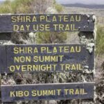 1-Day Shira Plateau, Kilimanjaro Hiking - What’s Included and What’s Not