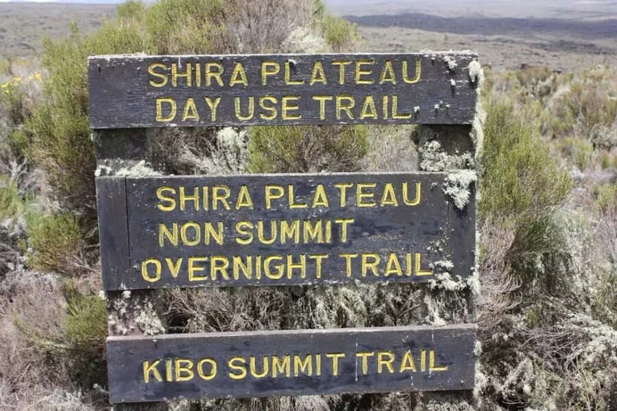 1-Day Shira Plateau, Kilimanjaro Hiking - What’s Included and What’s Not