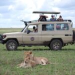 1-Day Tarangire National Park- Shared Tour - What You Can Expect from the Day