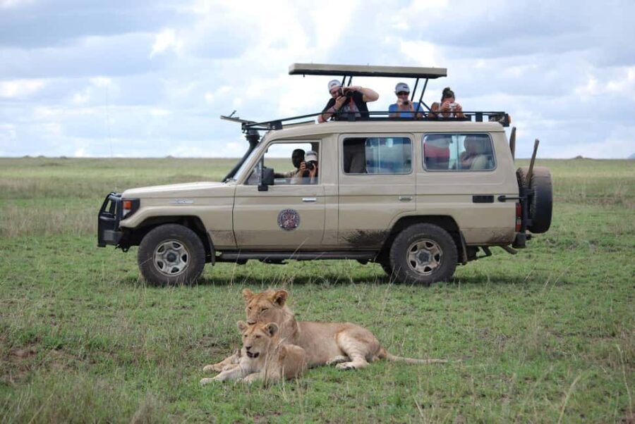 1-Day Tarangire National Park- Shared Tour - What You Can Expect from the Day