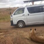 1 DAY TO NAIROBI NATIONAL PARK - Transportation, Pricing, and Overall Value