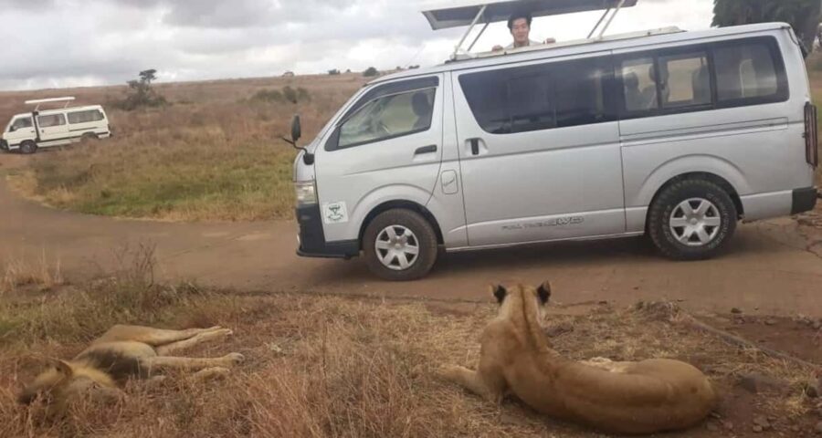 1 DAY TO NAIROBI NATIONAL PARK - Transportation, Pricing, and Overall Value