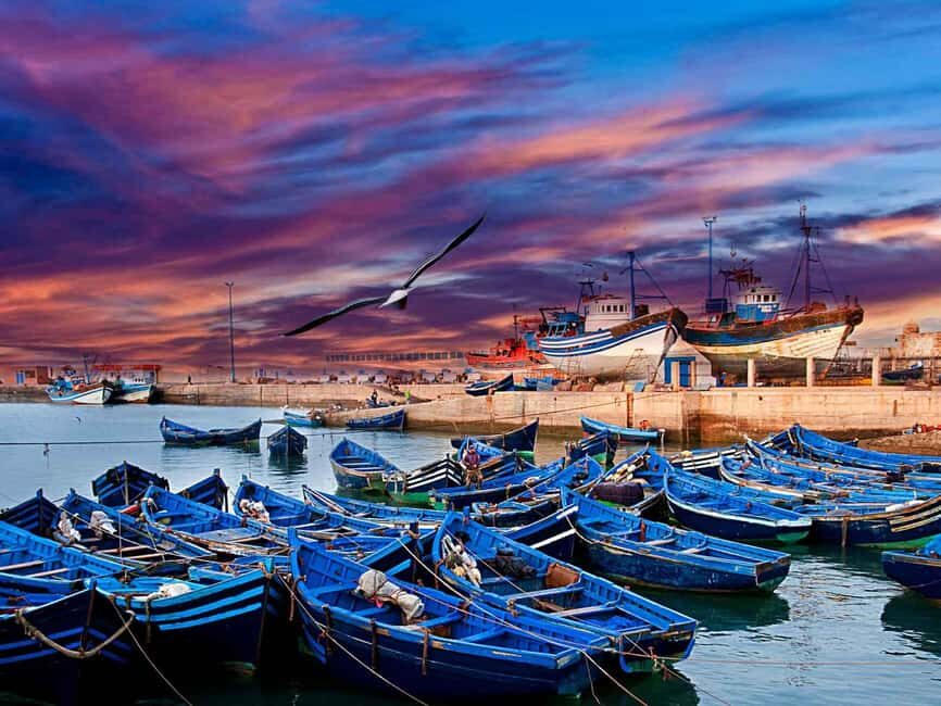 1 Day Trip from Marrakech To Essaouira - The Itinerary: What to Expect from Start to Finish