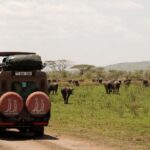 1 Day Trip Tarangire National Park - The Game Drive: Wildlife in Action