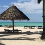 1 Day: Zanzibar trip to Spice and Forest - Practical Details & Tips for Your Tour