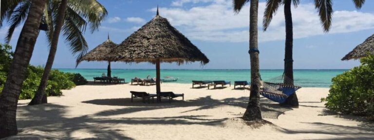 1 Day: Zanzibar trip to Spice and Forest - Practical Details & Tips for Your Tour