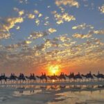 1 Hour Broome Sunset Camel Tour - Detailed Itinerary Breakdown